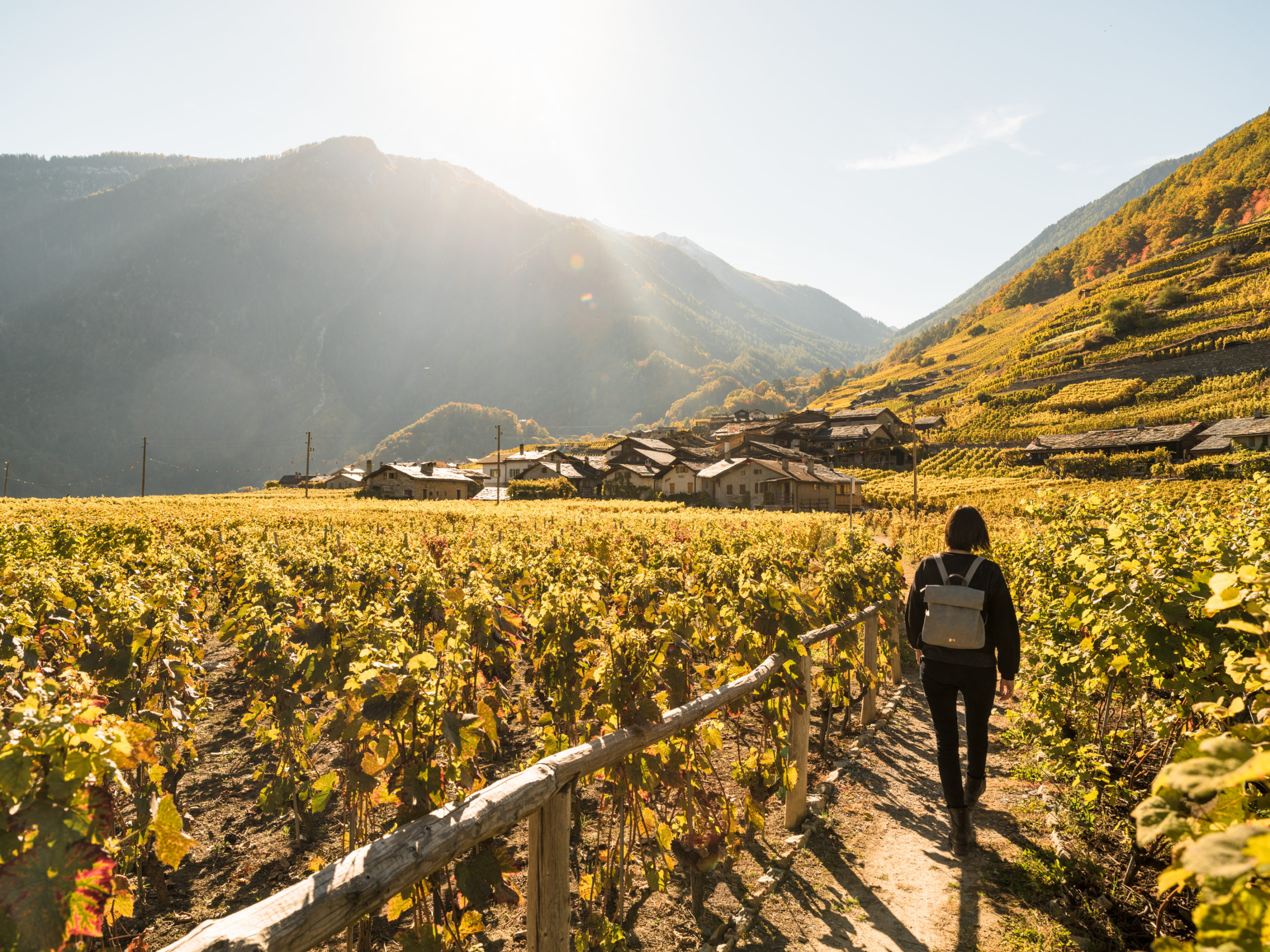 Chemin des vignes en terrasses - Martigny Tourisme - Valais Suisse