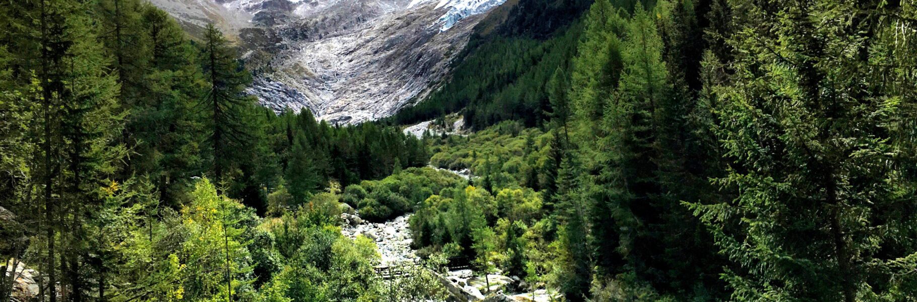 Processed with MOLDIV