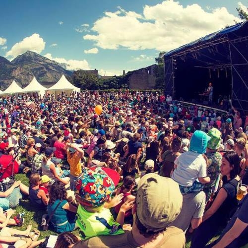 Hérisson sous gazon