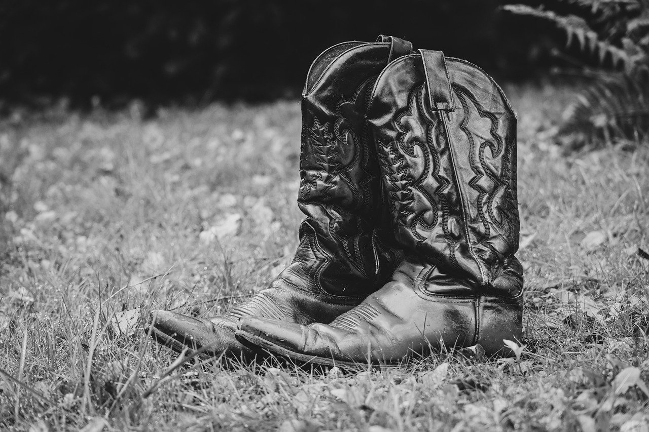 Western city : Western Dance Day