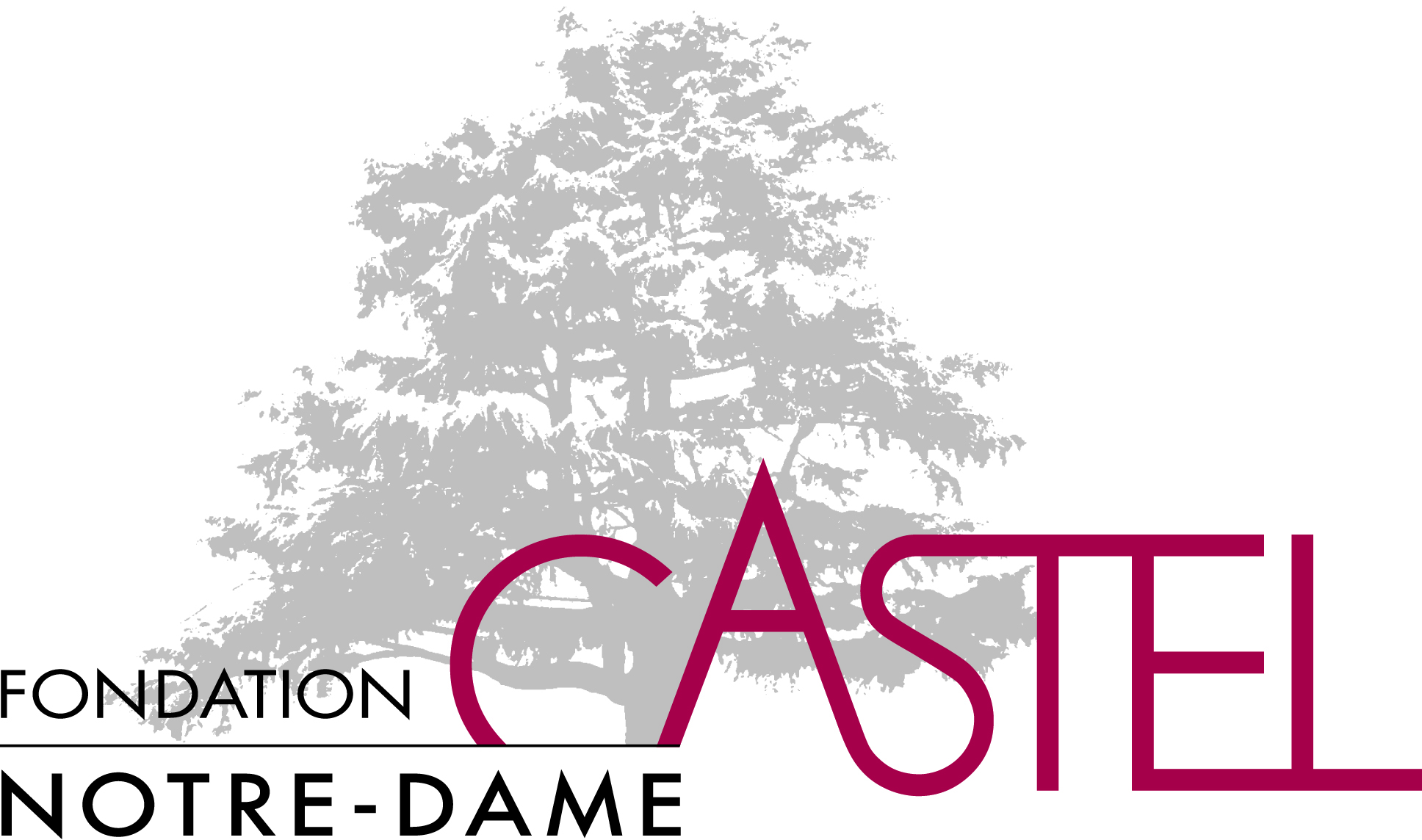 Fondation Castel Notre Dame