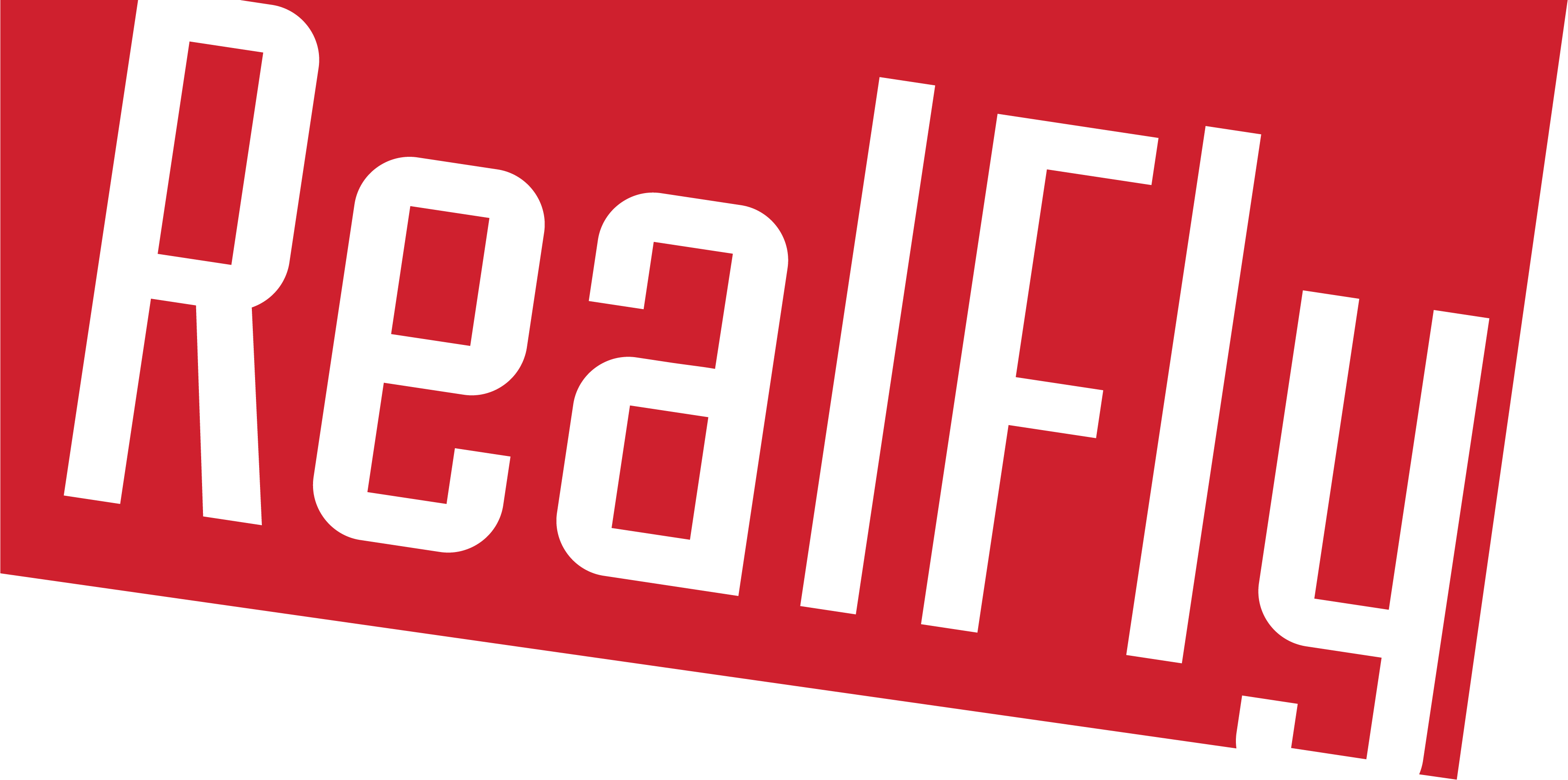 RealFly Sion