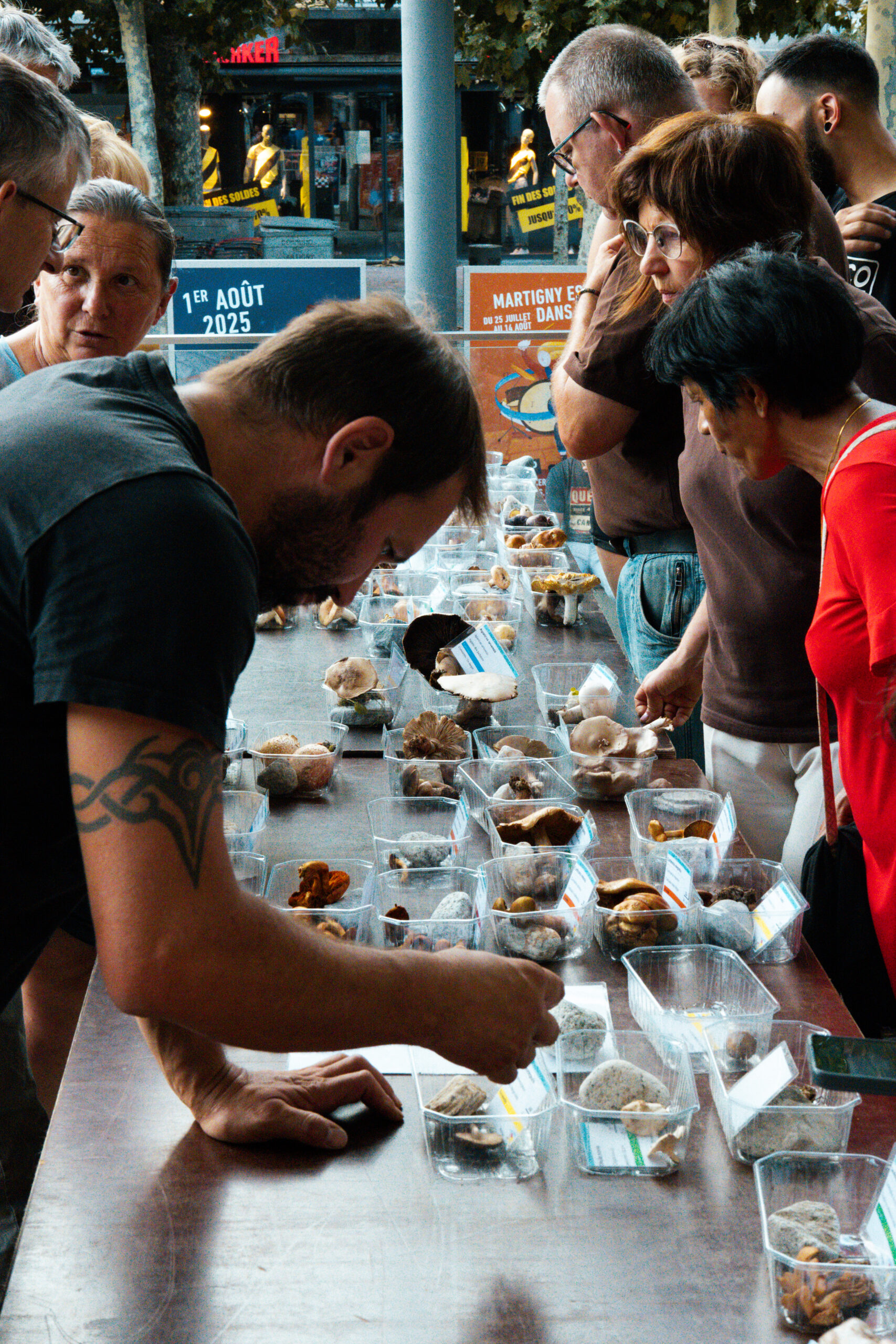 Atelier à la découverte des champignons – 19H00 – 21H00