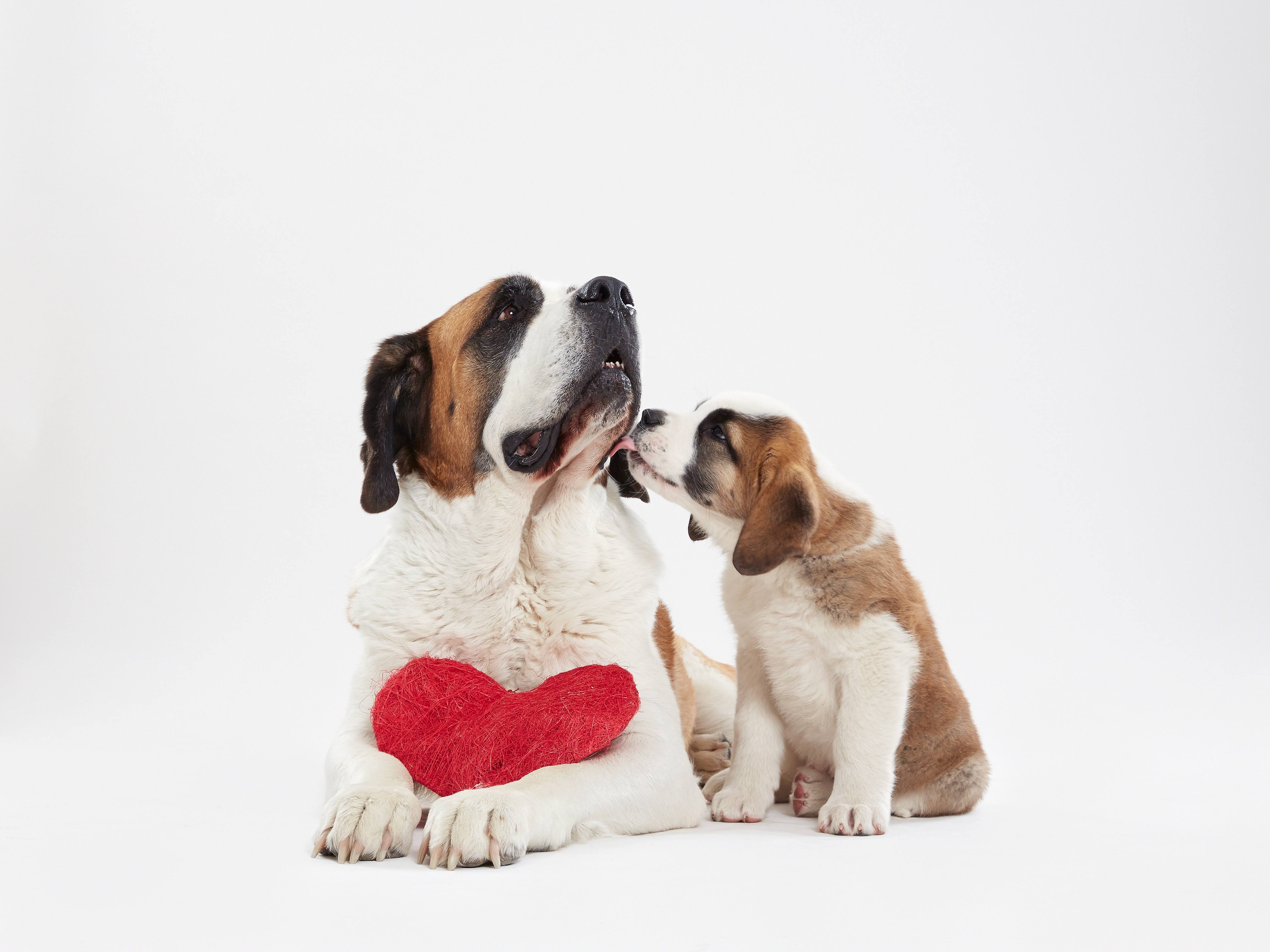 Barryland : Atelier de peinture